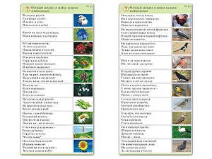 Комплект карточек (10) "Обучающий калейдоскоп. Природа" - fgospostavki.ru - Чита