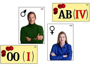 Модель-аппликация "Генетика групп крови" (ламинированная) - fgospostavki.ru - Чита