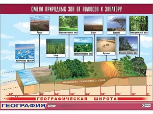 Таблица демонстрационная "Смена природных зон от полюсов к экватору" (винил 70*100) - fgospostavki.ru - Чита