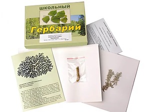 Гербарий "Водоросли. Грибы. Лишайники" (раздаточный) - fgospostavki.ru - Чита