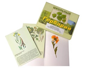 Гербарий "Систематика растений. Семейство Пасленовые. Крестоцветные. Сложноцветные" (раздаточный) - fgospostavki.ru - Чита