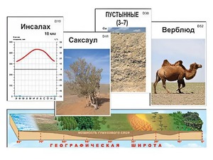 Модель-аппликация "Природные зоны" - fgospostavki.ru - Чита