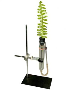 Прибор для демонстрации всасывания воды корнями - fgospostavki.ru - Чита