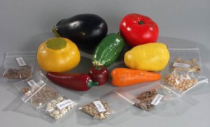 Коллекция "Плоды сельскохозяйственных растений" - fgospostavki.ru - Чита