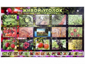 Комплект оборудования "Живой уголок" (растения) с тифлопереводом и сурдокомментариями - fgospostavki.ru - Чита