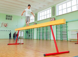Бревно гимнастическое напольное постоянной высоты (700 мм) (5 м) - fgospostavki.ru - Чита