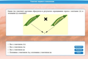 Интерактивные курсы. Биология 11 класс. Базовый. - fgospostavki.ru - Чита