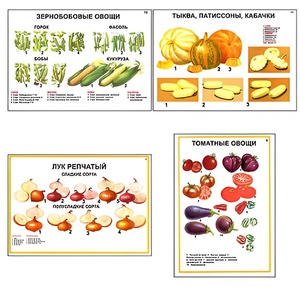 Плакаты ПРОФТЕХ "Ассортимент овощных культур" (12 пл, винил, 70х100) - fgospostavki.ru - Чита