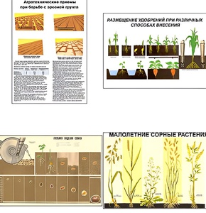 Плакаты ПРОФТЕХ "Агрономия" (5 пл, винил, 70х100) - fgospostavki.ru - Чита