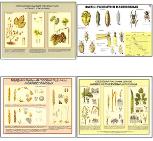 Плакаты ПРОФТЕХ "Вредители и болезни с/х культур и меры борьбы с ними" (11 пл, винил, 70х100) - fgospostavki.ru - Чита