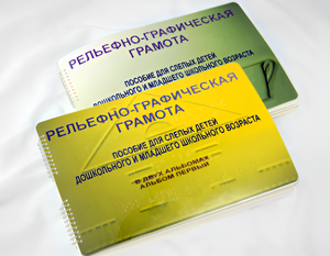 Пособие для слабовидящих детей - Рельефно-графическая грамота для слепых детей дошкольного и младшего школьного возраста - fgospostavki.ru - Чита