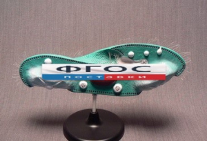 Модель "Инфузория-туфелька" - fgospostavki.ru - Чита