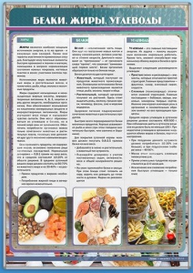 Стенд "Белки. Жиры. Углеводы" - fgospostavki.ru - Чита
