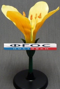 Модель "Цветок капусты" - fgospostavki.ru - Чита