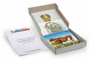 Модель-аппликация "Цикл развития бычьего цепня" (набор из 7 карт) - fgospostavki.ru - Чита