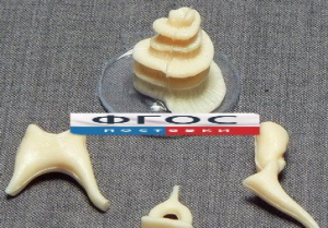 Модель "Косточки слуховые" - fgospostavki.ru - Чита