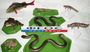 Комплект моделей "Позвоночные животные" (8 штук) - fgospostavki.ru - Чита