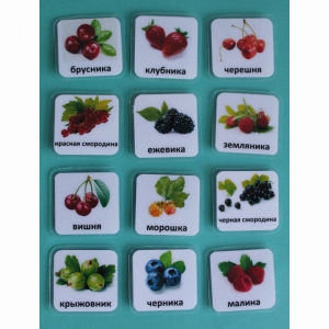 Набор карточек "Ягоды" - fgospostavki.ru - Чита