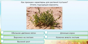 Интерактивные курсы. Окружающий мир 3 класс . Базовый. - fgospostavki.ru - Чита