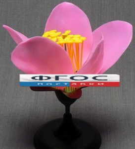 Модель "Цветок персика" - fgospostavki.ru - Чита