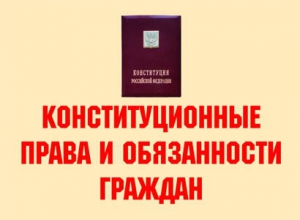Комплект плакатов "Конституционные права и обязанности граждан" - fgospostavki.ru - Чита