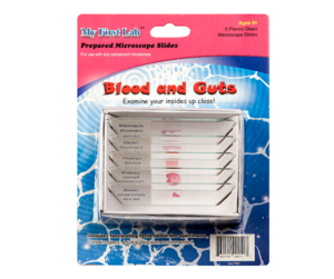 Набор микропрепаратов для микроскопа №1 «Человек» - fgospostavki.ru - Чита