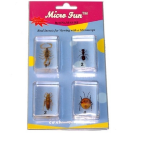 Набор микропрепаратов для стереомикроскопа №14 «Насекомые» - fgospostavki.ru - Чита