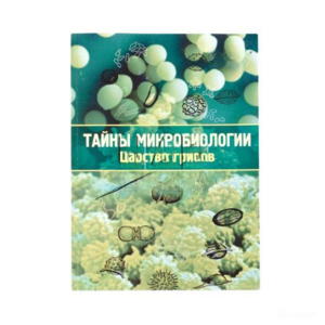 Набор «Тайны микробиологии» (Царство грибов) - fgospostavki.ru - Чита