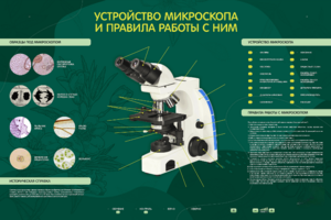 Электрифицированный стенд "Устройство микроскопа и правила работы c ним" - fgospostavki.ru - Чита