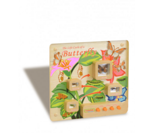 Панель «Жизненный цикл бабочки» - fgospostavki.ru - Чита