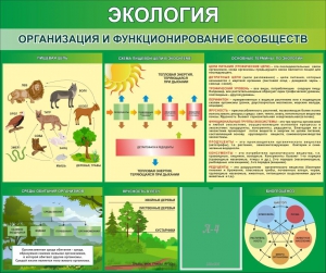 Стенд "Экология. Организация и функционирование сообществ" - fgospostavki.ru - Чита