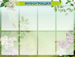 Стенд "Информация" Вариант 13 - fgospostavki.ru - Чита