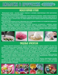 Стенд "Биология в профессии "повар"" - fgospostavki.ru - Чита