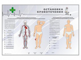 Электрифицированный стенд "Остановка кровотечения" - fgospostavki.ru - Чита