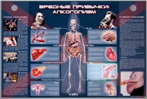 Электрифицированный стенд "Вредные привычки: алкоголизм" - fgospostavki.ru - Чита