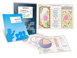 Комплект кодотранспарантов "Цитология" - fgospostavki.ru - Чита