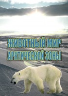 DVD "Животный мир Арктической зоны" - fgospostavki.ru - Чита