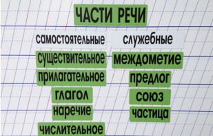 Набор магнитных карточек "Части речи" (фон зелёный) - fgospostavki.ru - Чита