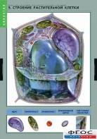 Комплект таблиц. Биология. Вещества растений. Клеточное строение. - fgospostavki.ru - Чита