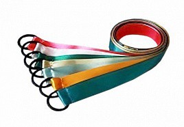 Лента гимнастическая на кольце (0,25 метра) - fgospostavki.ru - Чита