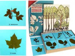 Гербарий "Растительные сообщества" - fgospostavki.ru - Чита