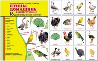 Демонстрационные карточки "Птицы домашние и декоративные" - fgospostavki.ru - Чита