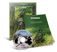 Электронное наглядное пособие «Птицы» - fgospostavki.ru - Чита