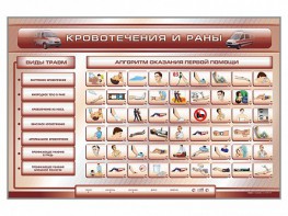Трехсекционный базовый комплект "Травмы. Кровотечения. Ожоги" для учащихся общеобразовательных учреждений - fgospostavki.ru - Чита