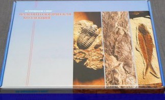 Коллекция "Палеонтологическая" (16 образцов) - fgospostavki.ru - Чита