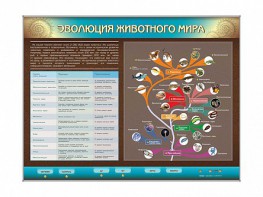 Интерактивный электрифицированный стенд "Эволюция животного мира" - fgospostavki.ru - Чита