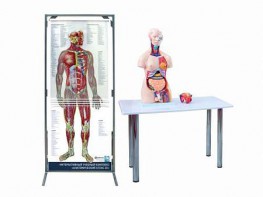 Интерактивный учебный комплекс "Анатомический атлас 3D" - fgospostavki.ru - Чита