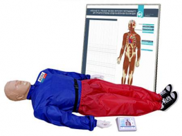 "Александр-01" тренажер-манекен взрослого пострадавшего для отработки приемов сердечно-легочной реанимации (голова, туловище, конечности) с контроллером и настенным табло - fgospostavki.ru - Чита