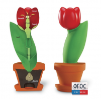 Модель цветка - fgospostavki.ru - Чита