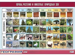 Таблица демонстрационная "Почвы, растения и животные природных зон" (винил 70*100) - fgospostavki.ru - Чита